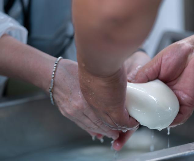 Paestum_Mozzarella_Experience
