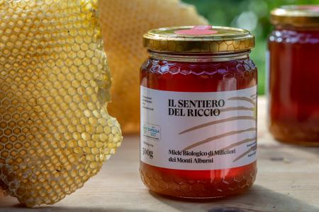 Il_Sentiero_Del_Riccio (1)