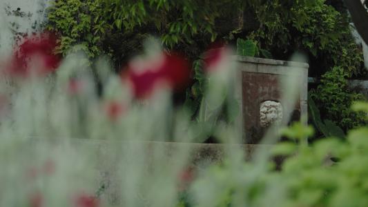 Salerno_Giardino_della_Minerva