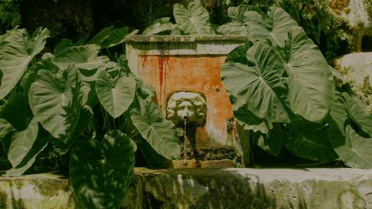 Salerno_Giardino_della_Minerva