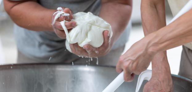 Mozzarella_