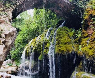 Cilento_Oasi_Capelli_di_Venere