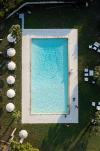 La piscina. 